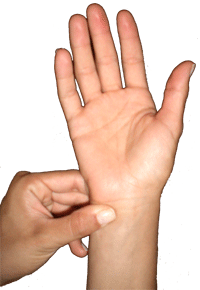 HT7